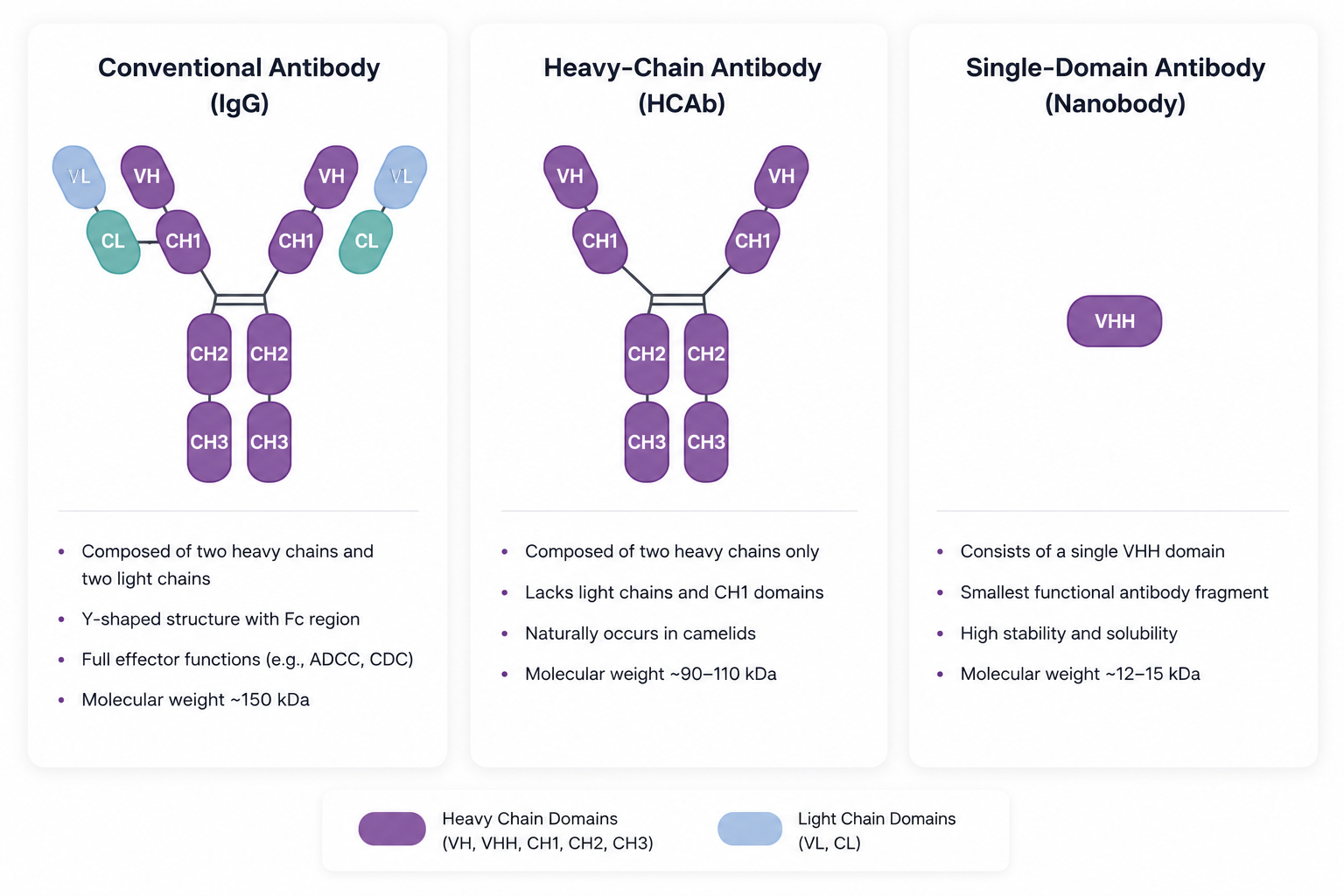 Antibody Structure Comparison