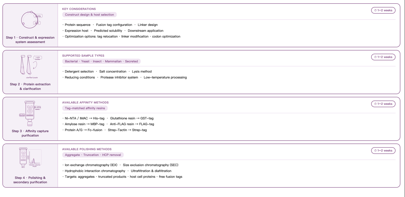 Tagged Fusion Protein Purification Workflow Diagram - BioCrest Sci