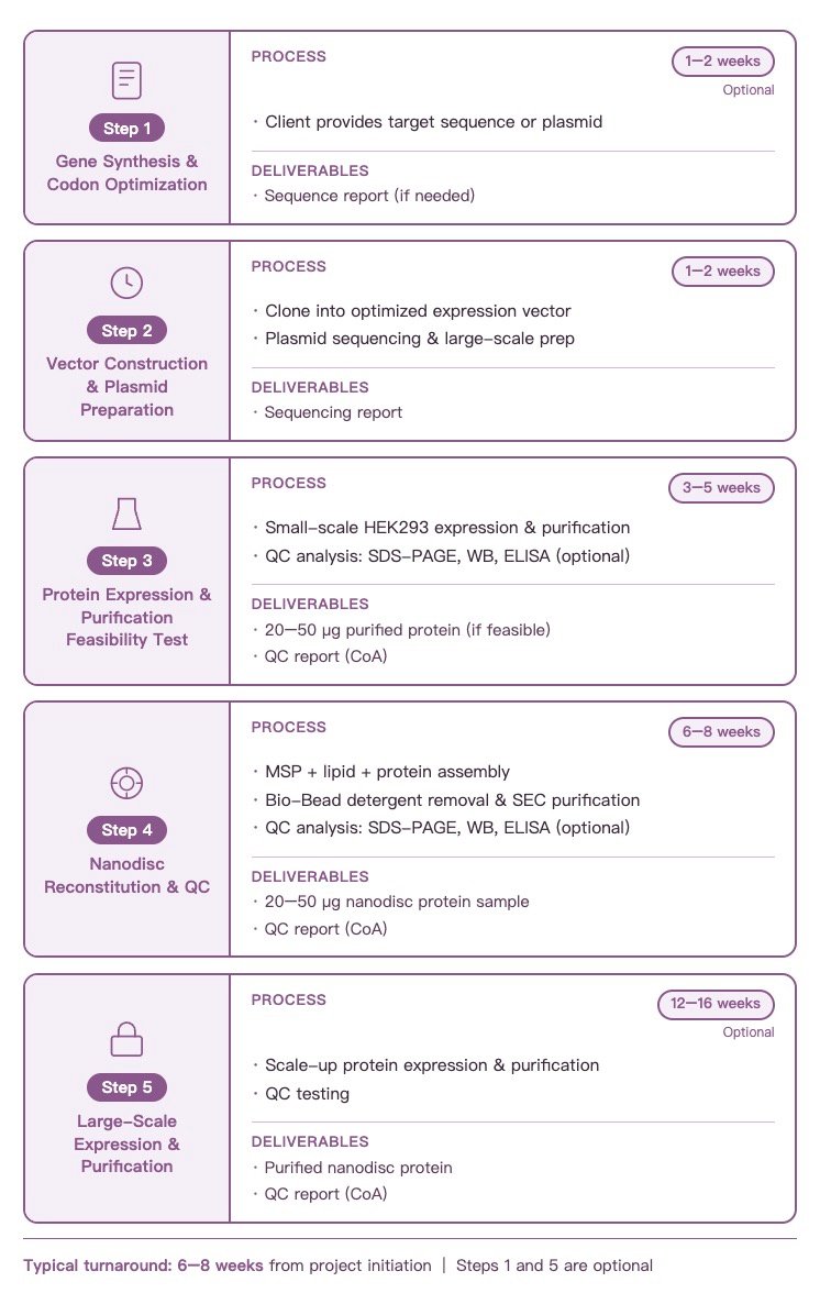 Nanodisc production workflow steps 1 to 5