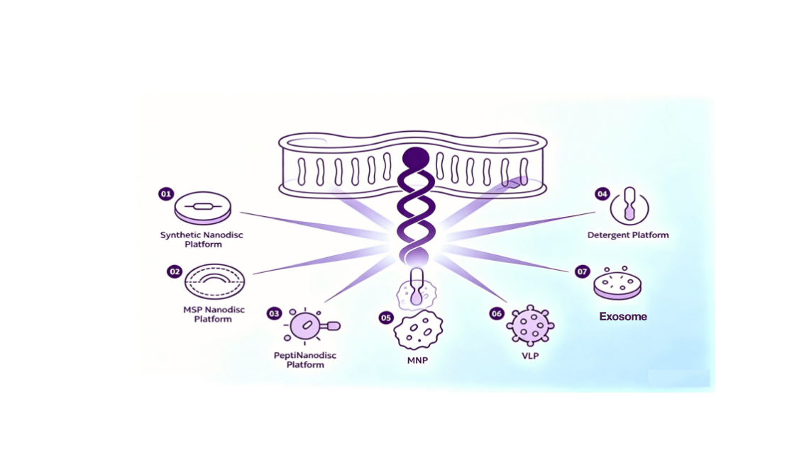 One target protein radiating into seven platform formats: nanodisc, MSP nanodisc, peptinanodisc, detergent, MNP, VLP, exosome