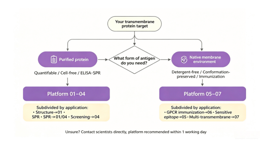 Decision tree: transmembrane protein target leads to purified protein platforms 01-04 or native membrane platforms 05-07 based on application