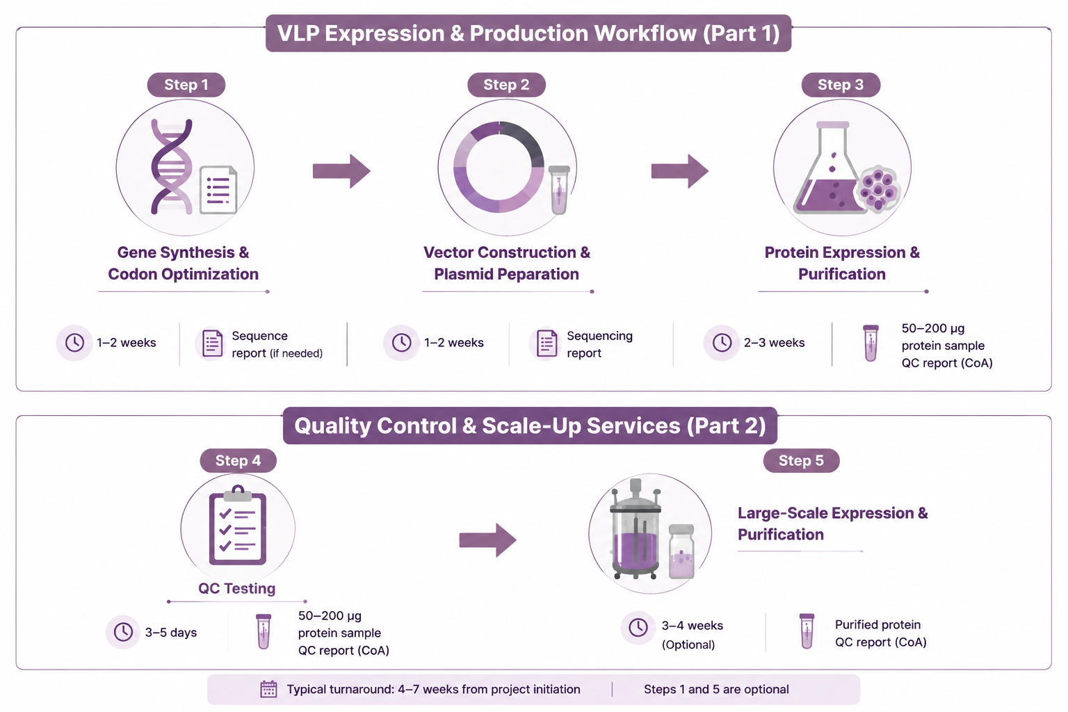 VLP Workflow: Gene Synthesis to Purification