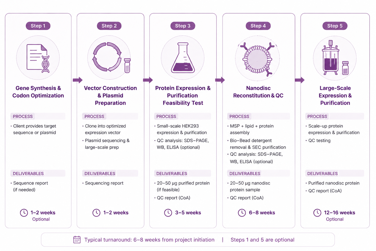 Nanodisc production workflow steps 1 to 5