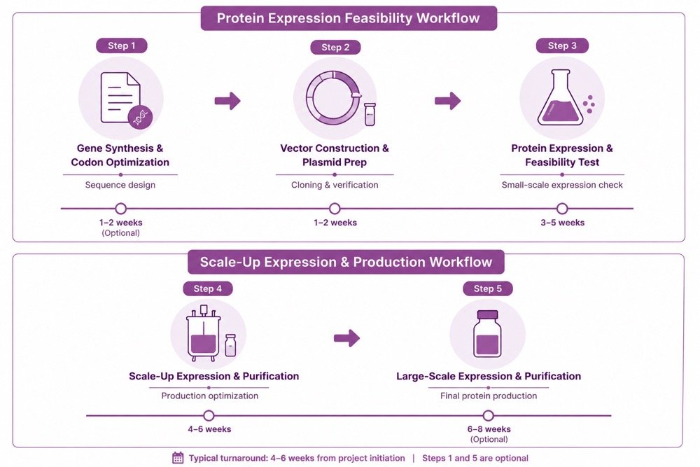 Detergent platform workflow: Gene Synthesis to Large-Scale Purification